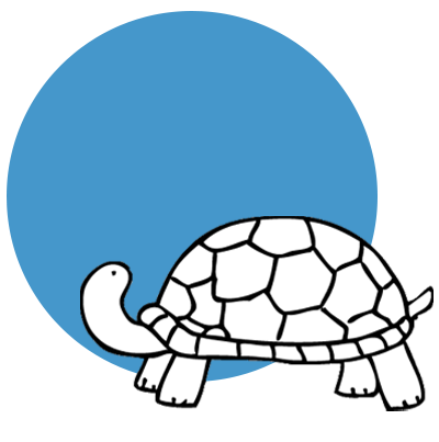 Edith Mayo turtle icon