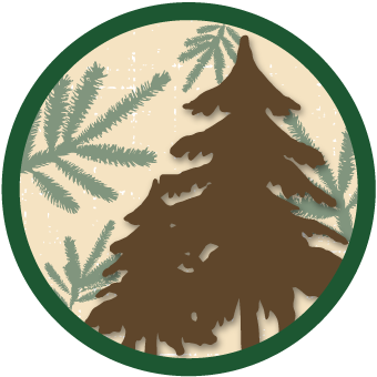 Camp Northwoods Logo