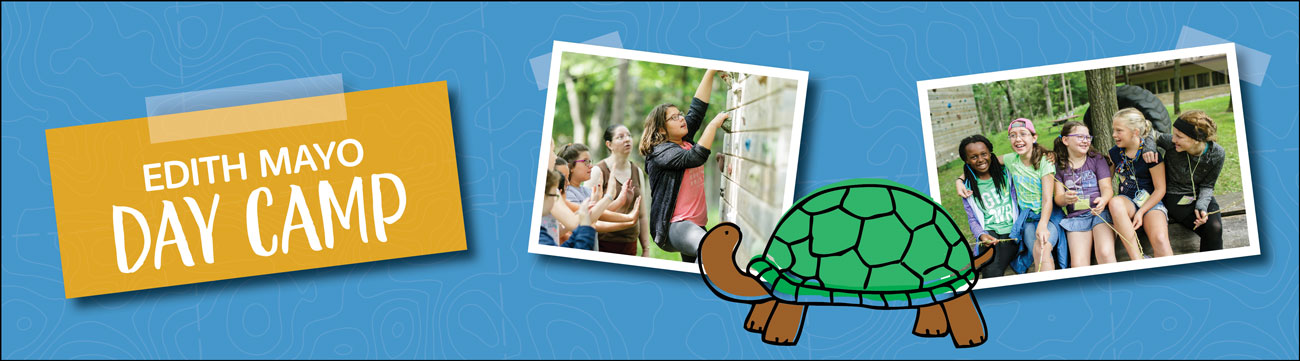 Council-Led Day Camp